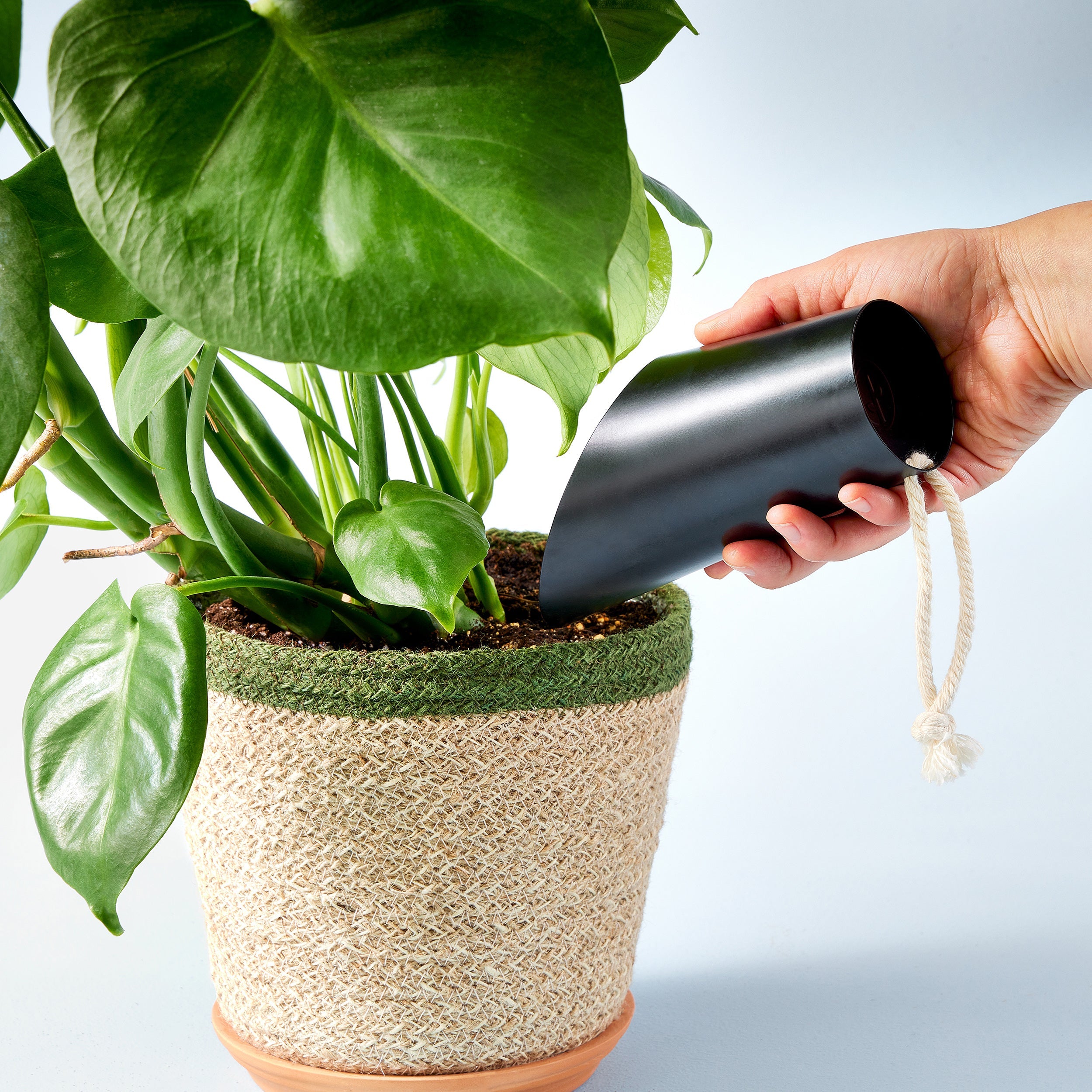 Modern Sprout Soil Scoop