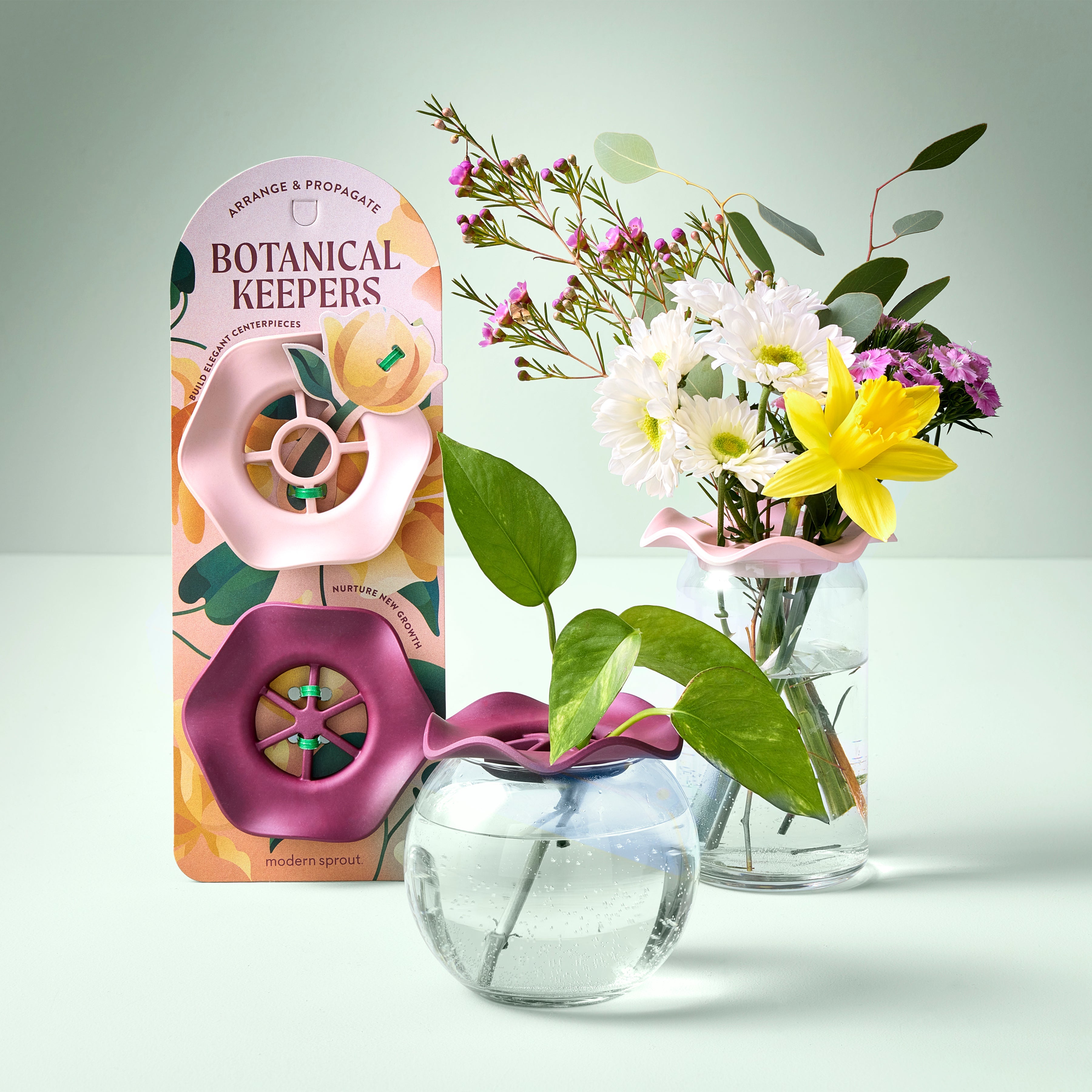 Modern Sprout Botanical Keepers