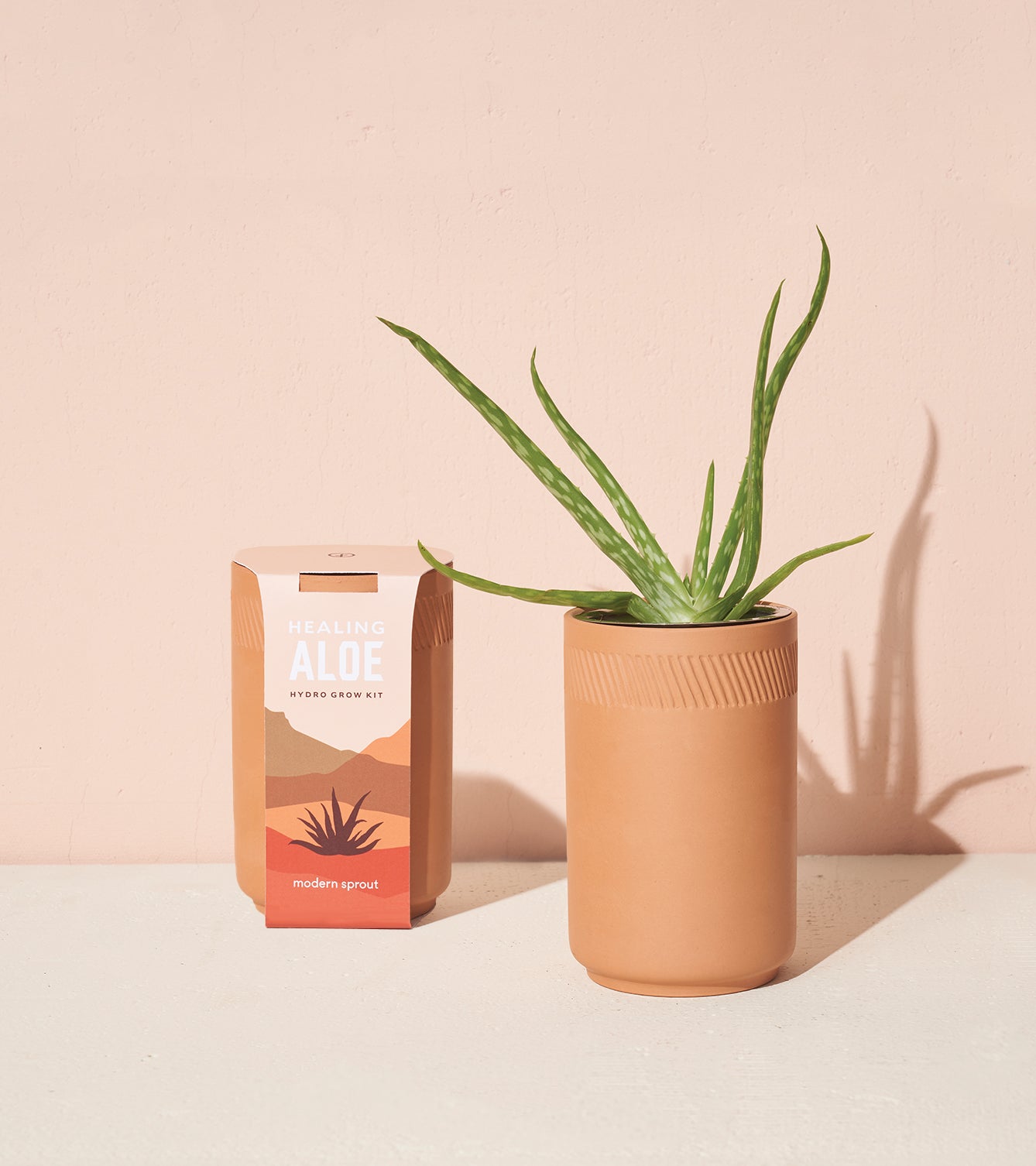 Modern Sprout Terracotta Grow Kits