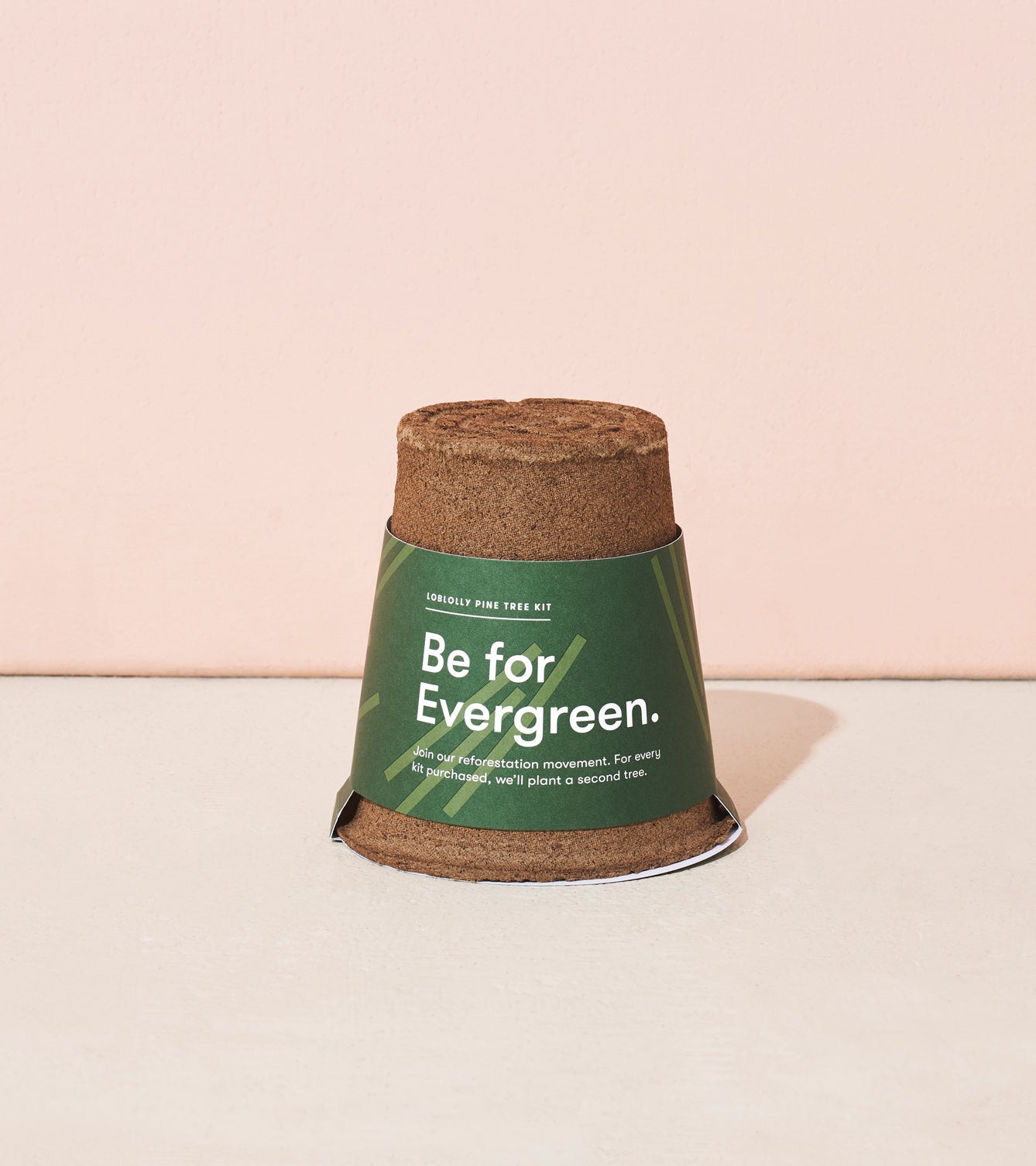Modern Sprout One-For-One Tree Kits