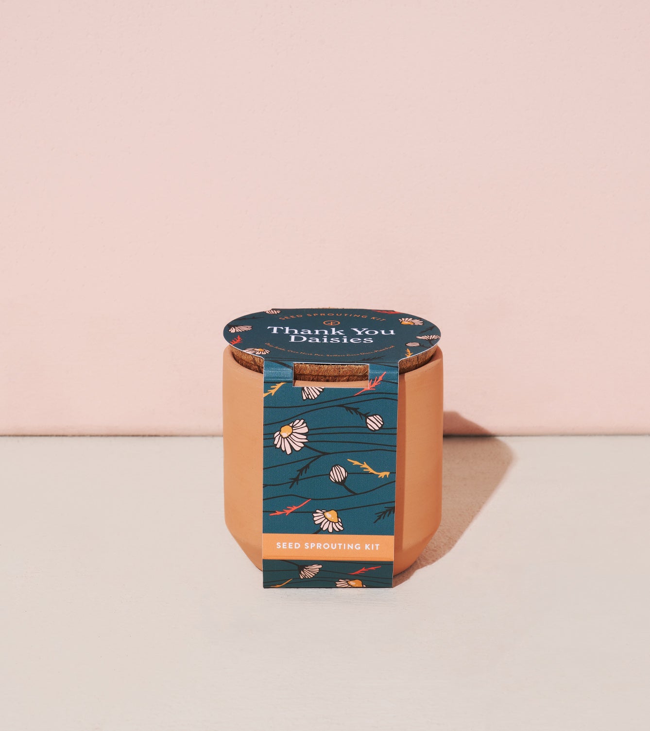 Modern Sprout Tiny Terracotta Kits
