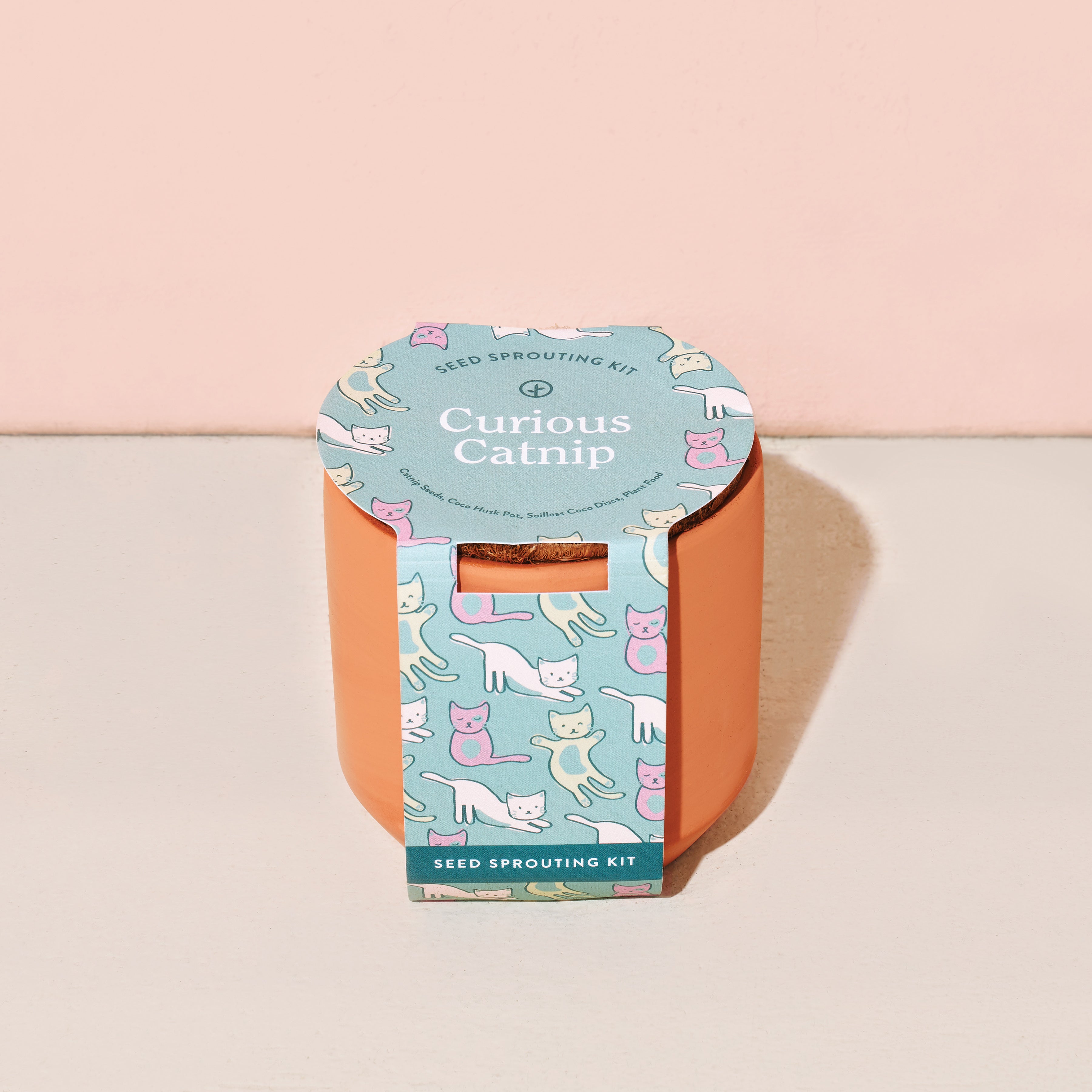 Modern Sprout Pet Tiny Terracotta Grow Kits