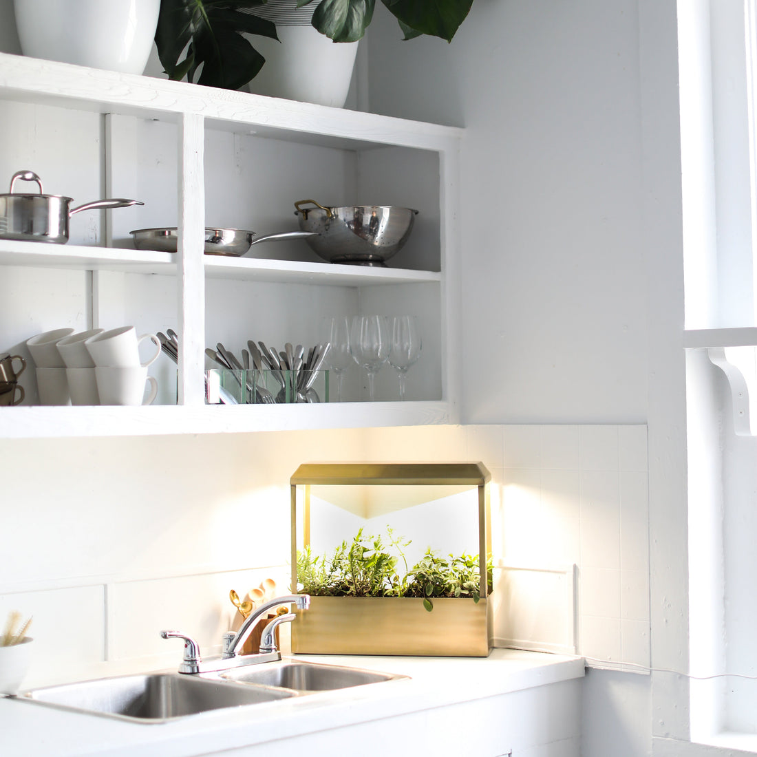 The Best Gifts for Gardeners in 2026 (That They’ll Actually Use!)