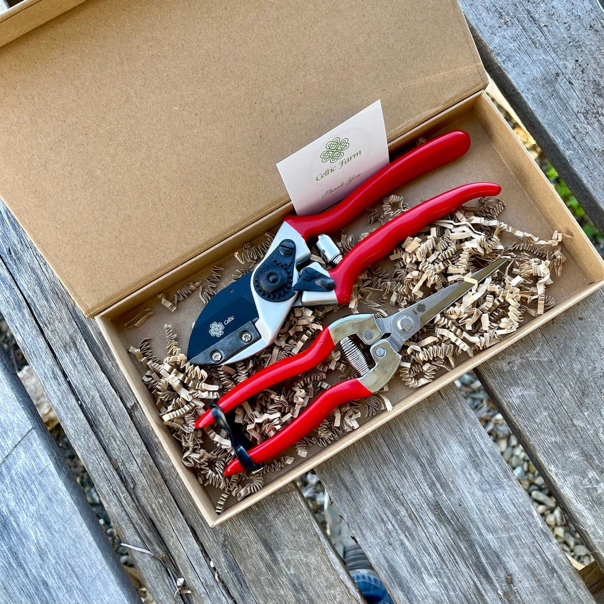 Best Garden Pruners: How to Choose the Right Tool for Your Garden