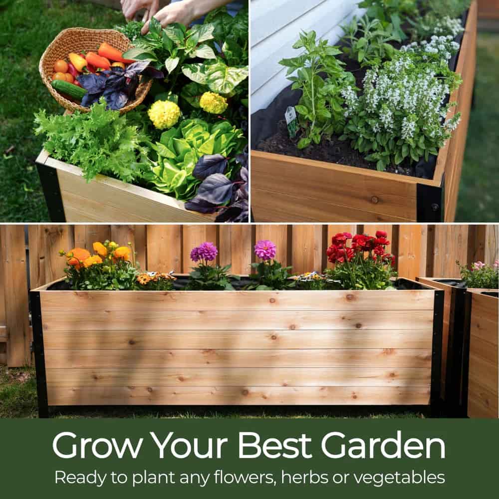 Cedar Planters 18" x 48" Raised Garden Bed - 30" TALL | Heirloom Boulevard