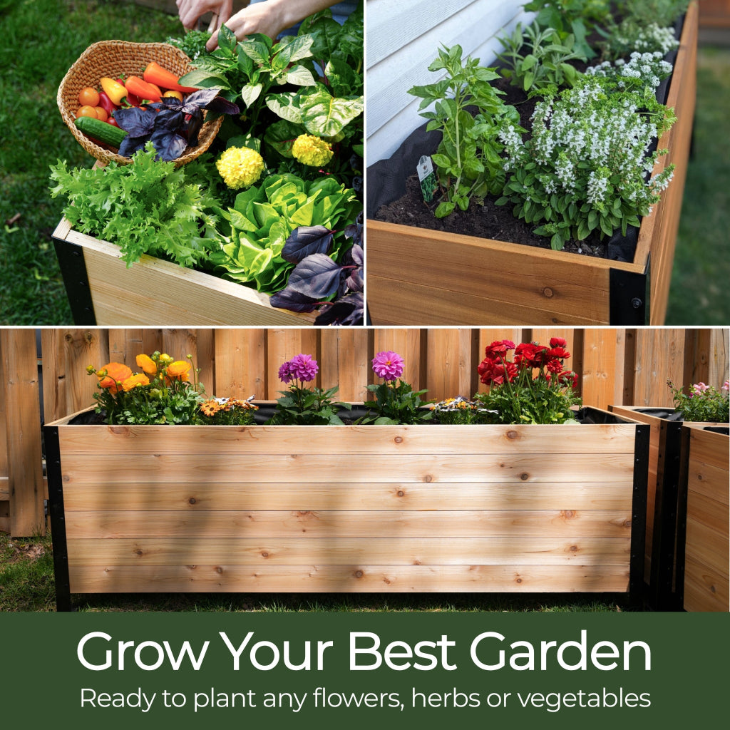 Cedar Planters 18" x 36" Raised Garden Bed - 30" TALL | Heirloom Boulevard