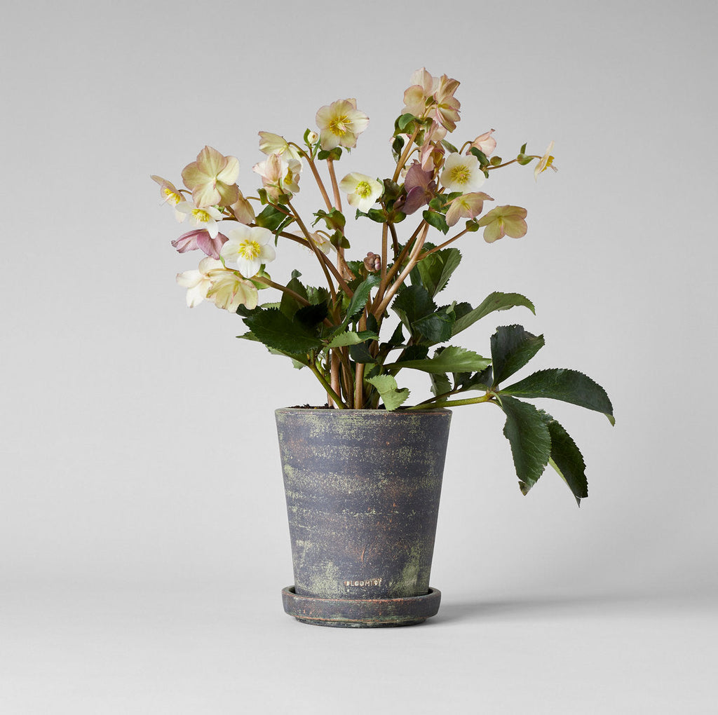 Bloomist Tray for Basic Planter, Grey Patina | Heirloom Boulevard