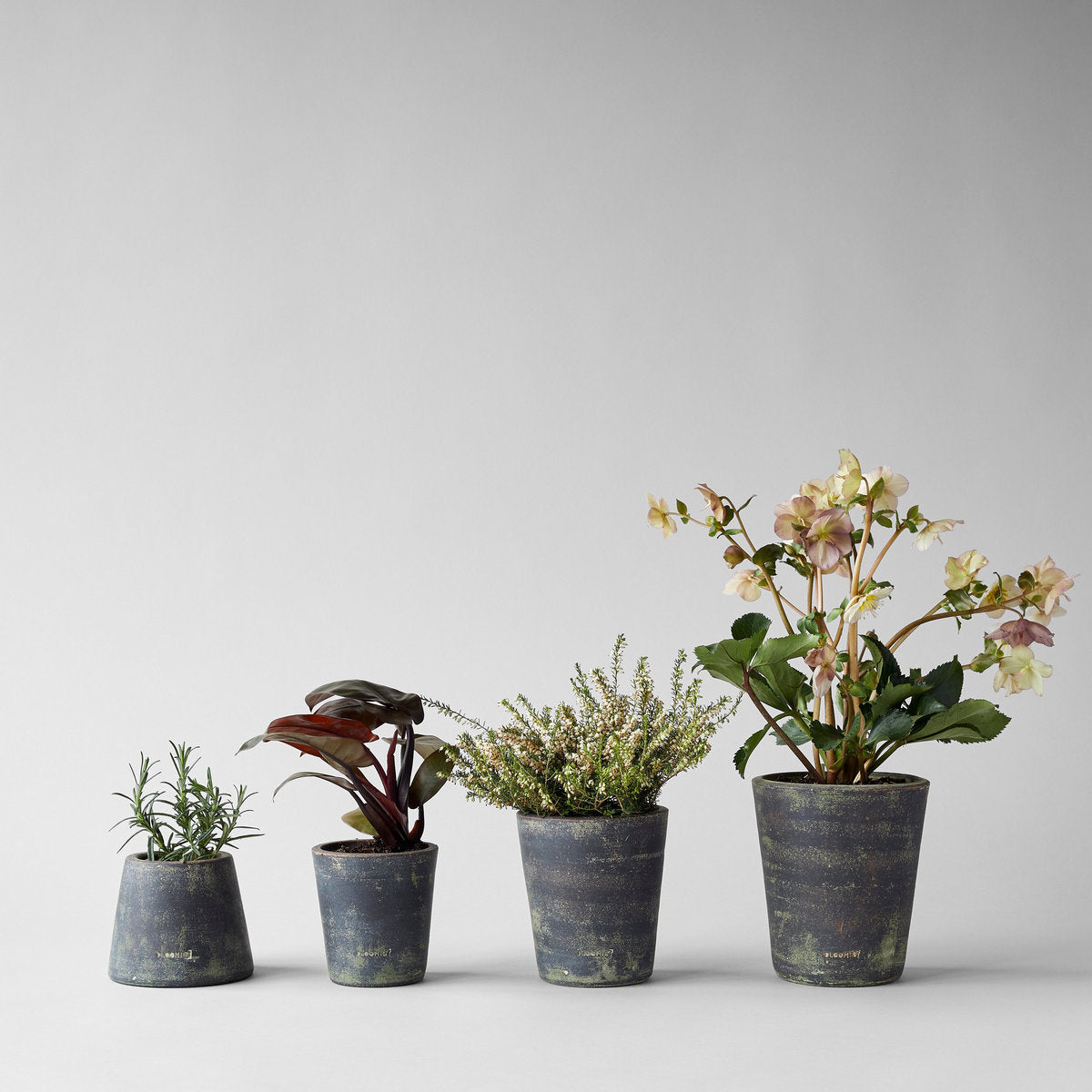Bloomist Basic Planter, Grey Patina | Heirloom Boulevard