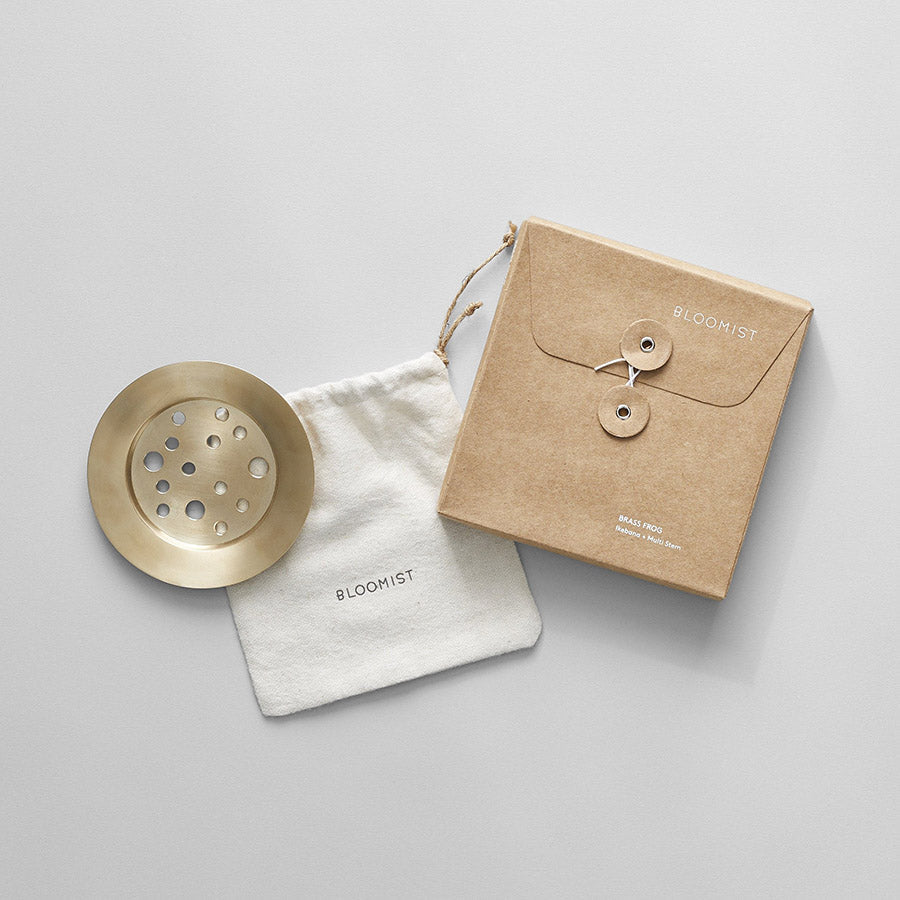 Bloomist Brass Frogs | Heirloom Boulevard