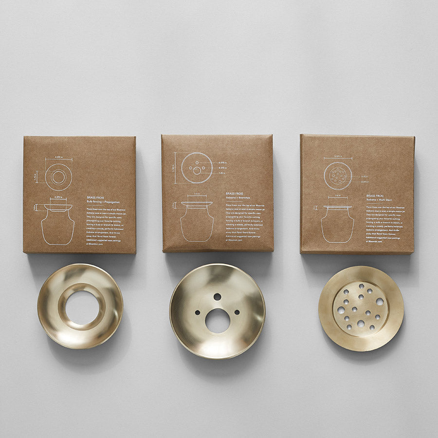 Bloomist Brass Frogs | Heirloom Boulevard