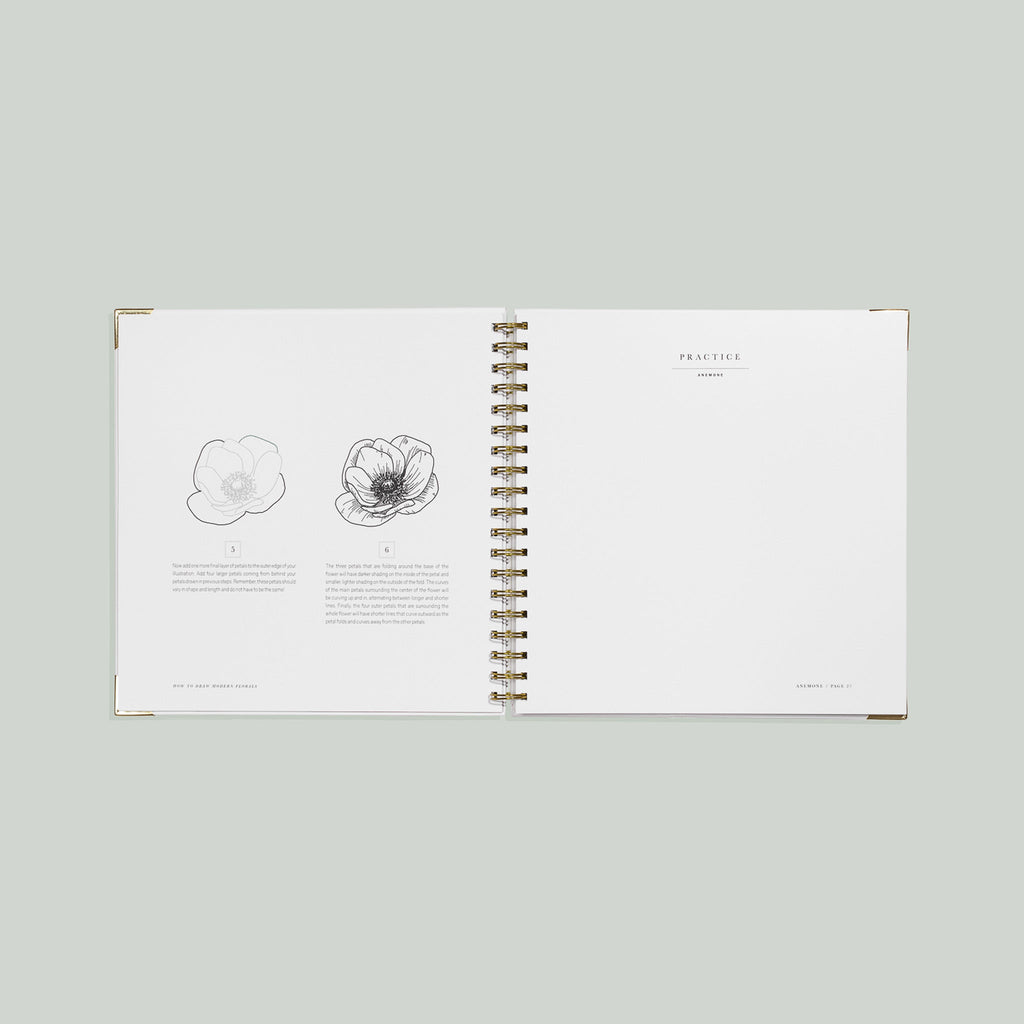 How To Draw Modern Florals (Spiral Bound) | Heirloom Boulevard