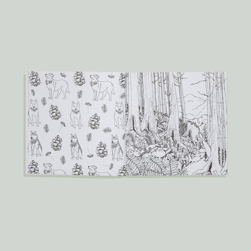 Plant Lady: A Coloring Book | Heirloom Boulevard