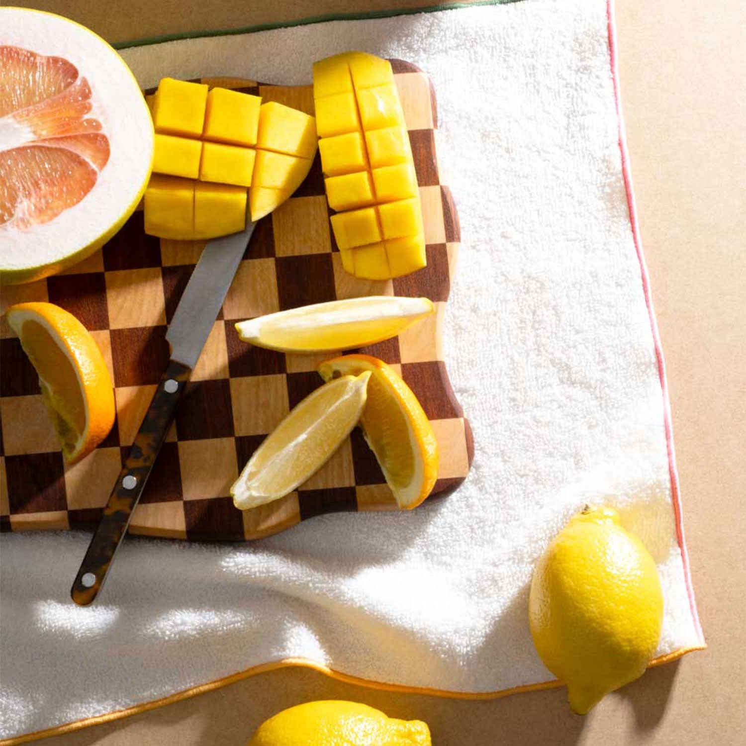 ATELIER SAUCIER Macaw Terrycloth Dish Towels | Set of 4 | Heirloom Boulevard