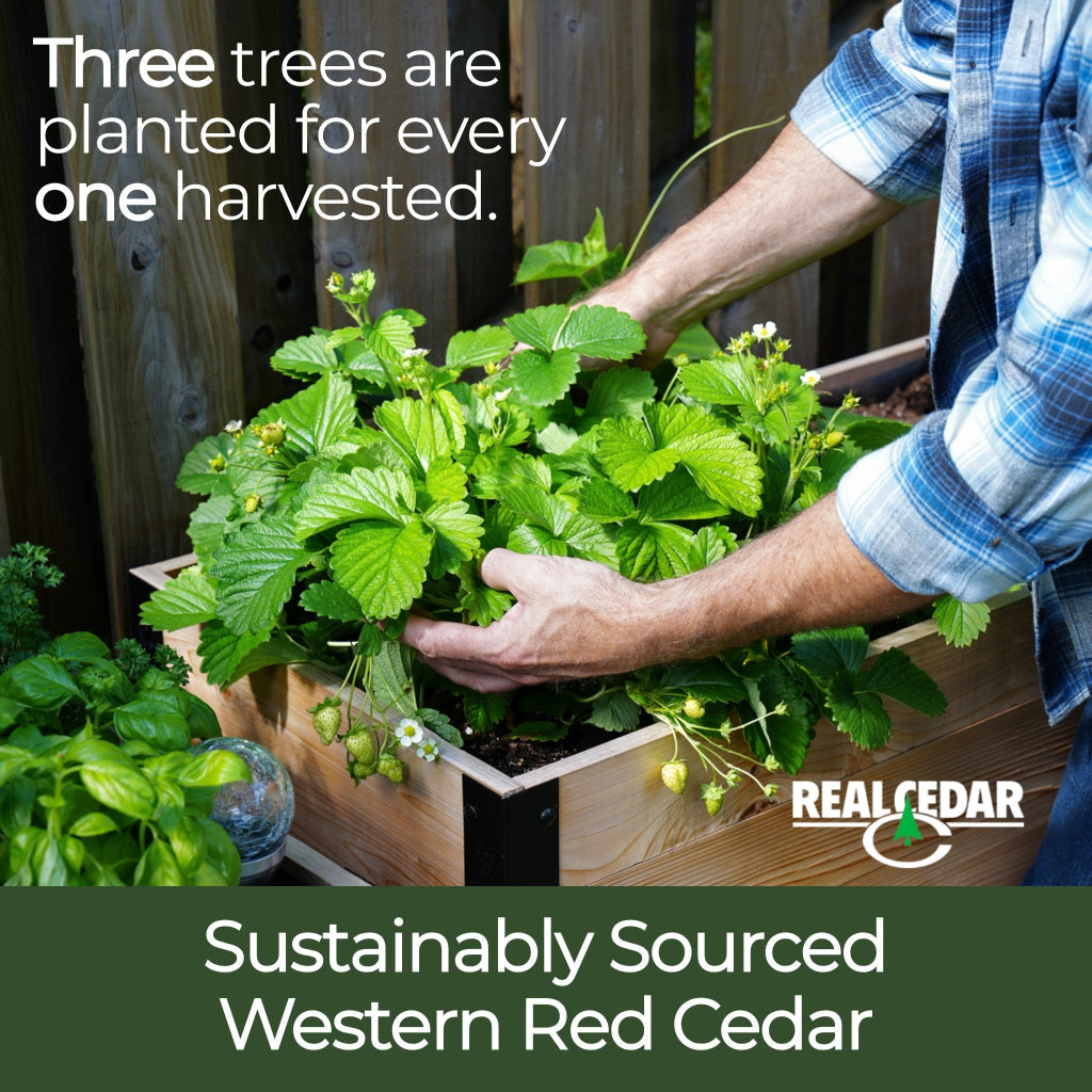 Cedar Planters 18″ x 24″ Raised Garden Bed - 30" TALL | Heirloom Boulevard