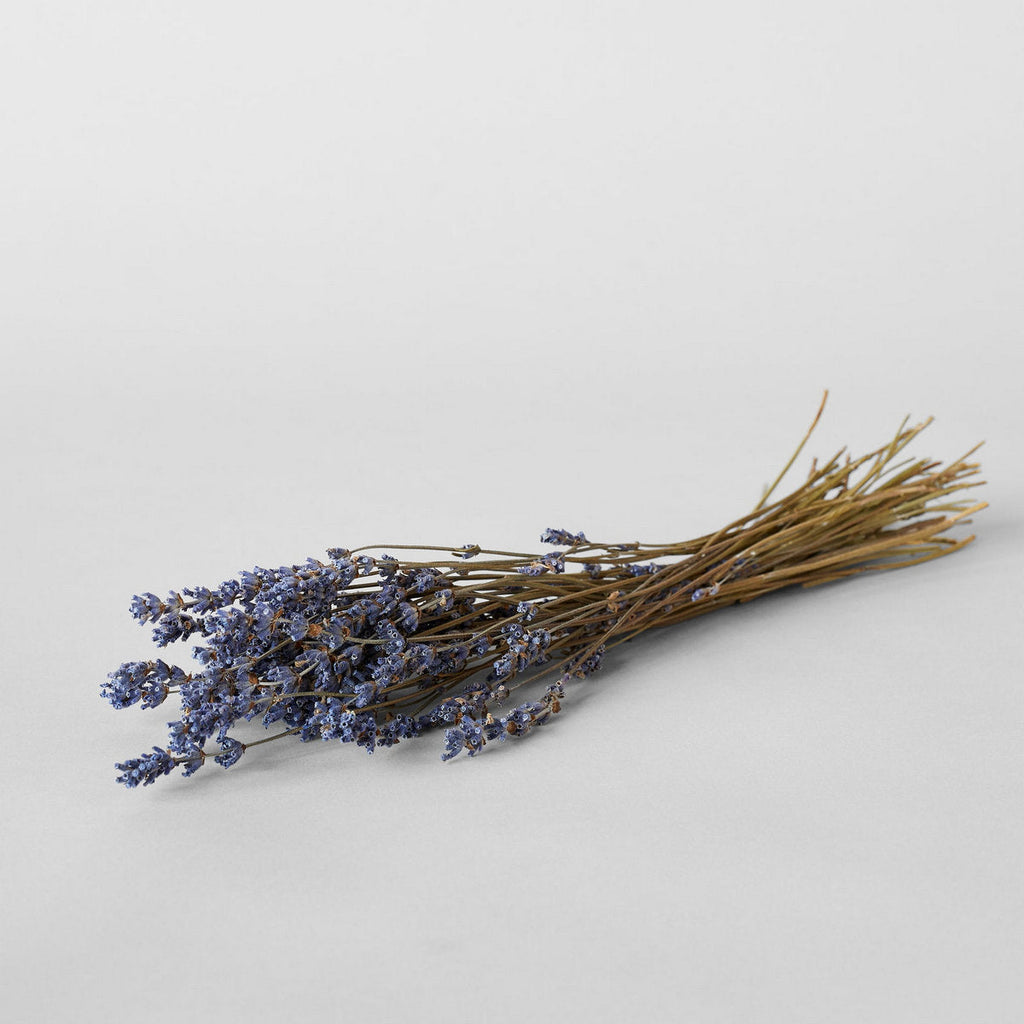 Bloomist Dried Lavender | Heirloom Boulevard