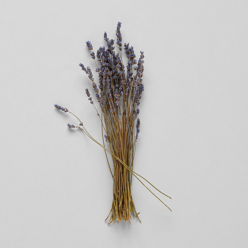 Bloomist Dried Lavender | Heirloom Boulevard
