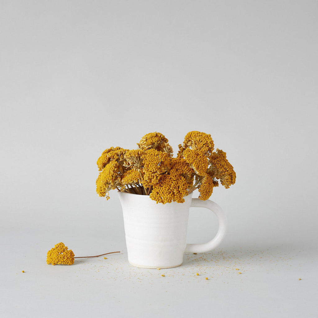 Bloomist Dried Natural Yarrow | Heirloom Boulevard