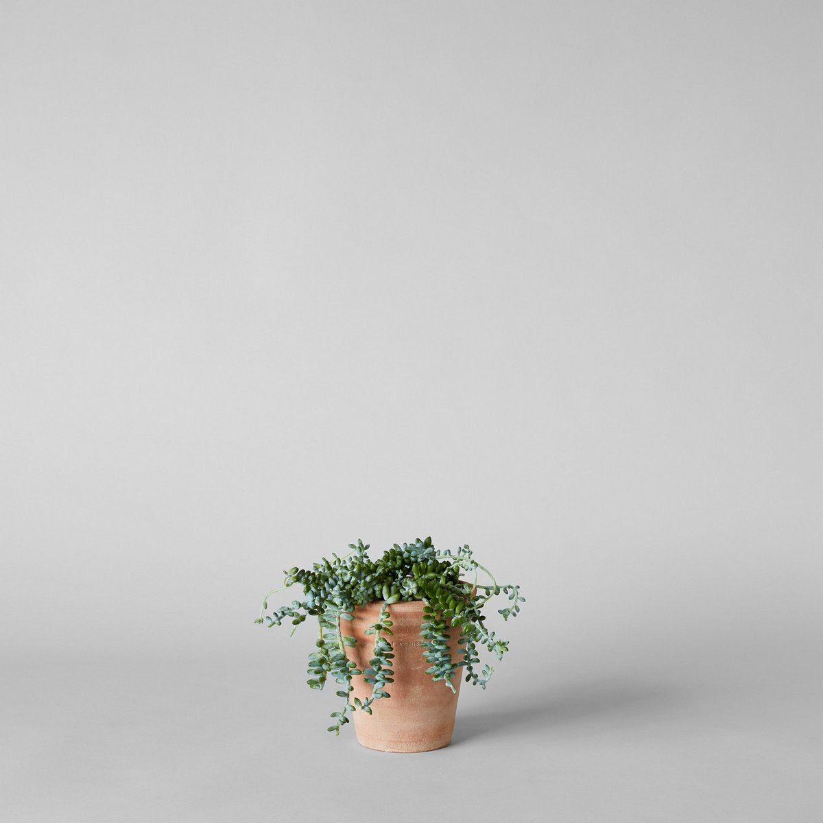 Bloomist Whitewash Terracotta Studio Planter Medium No Tray | Heirloom Boulevard