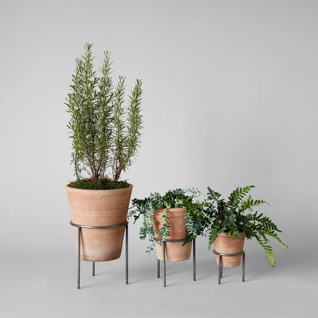 Bloomist Whitewash Terracotta Studio Planter | Heirloom Boulevard
