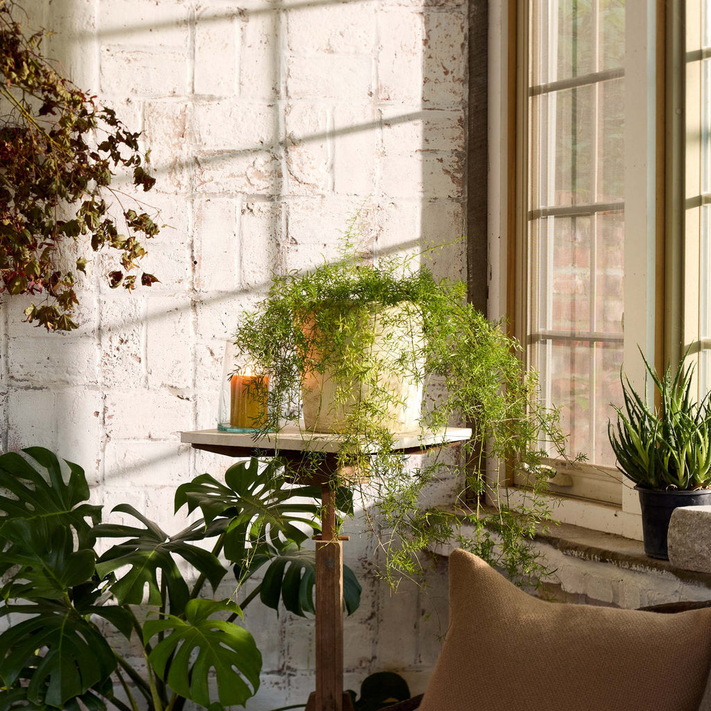 Bloomist Basic Planter, White Patina | Heirloom Boulevard