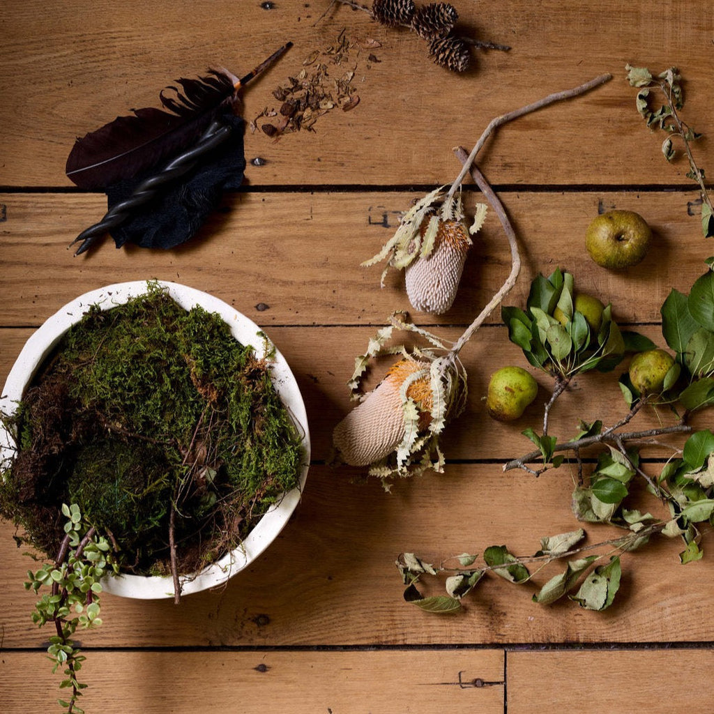 Bloomist Set of Three Dried Natural Banksia | Heirloom Boulevard