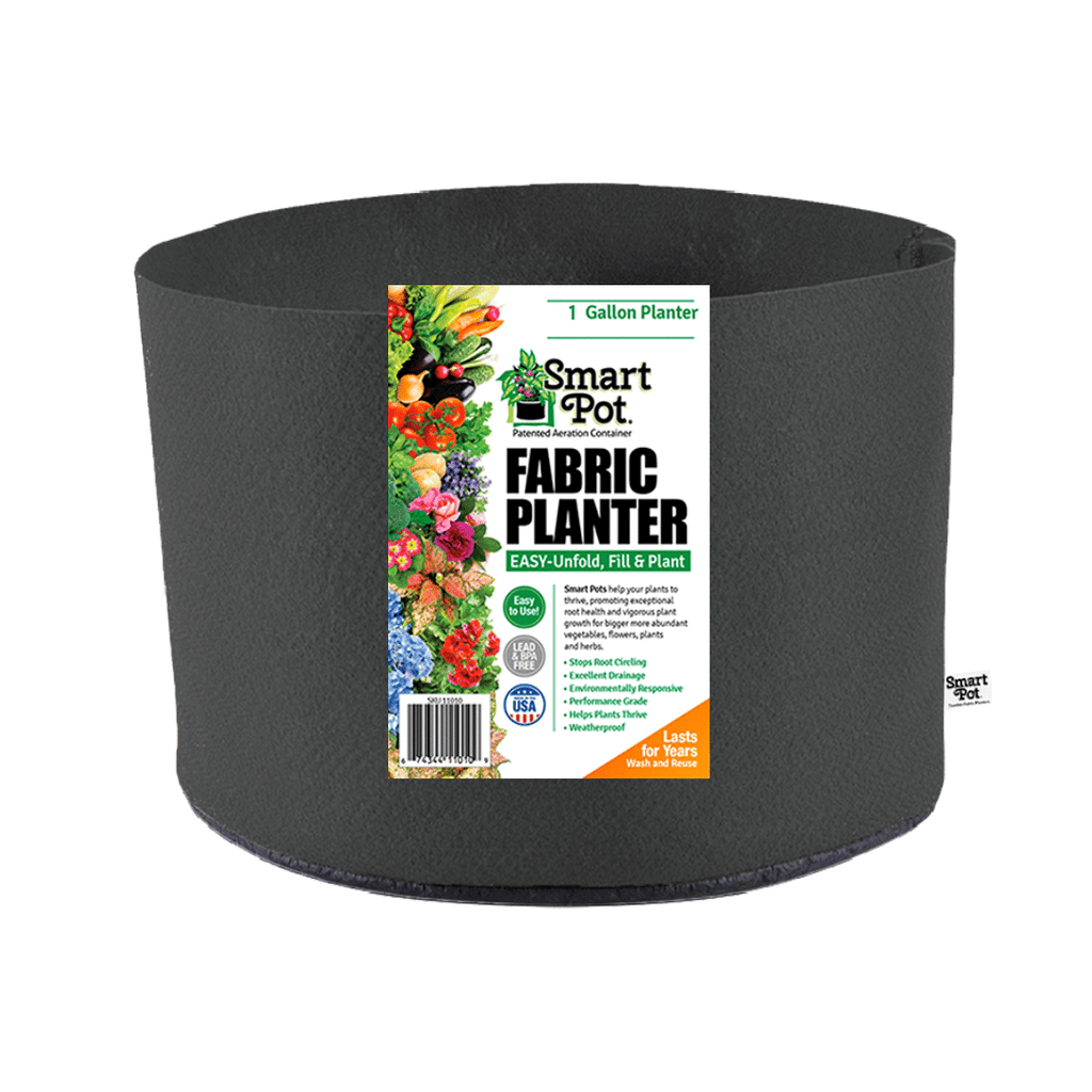 Smart Pot Fabric Planter 1 Gallon Black Without Handles | Heirloom Boulevard