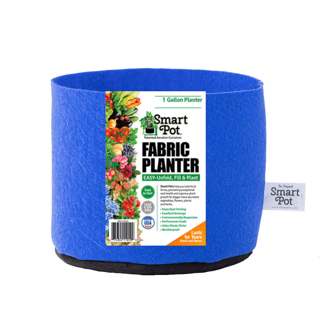 Smart Pot Fabric Planter 1 Gallon Berry Blue Without Handles | Heirloom Boulevard