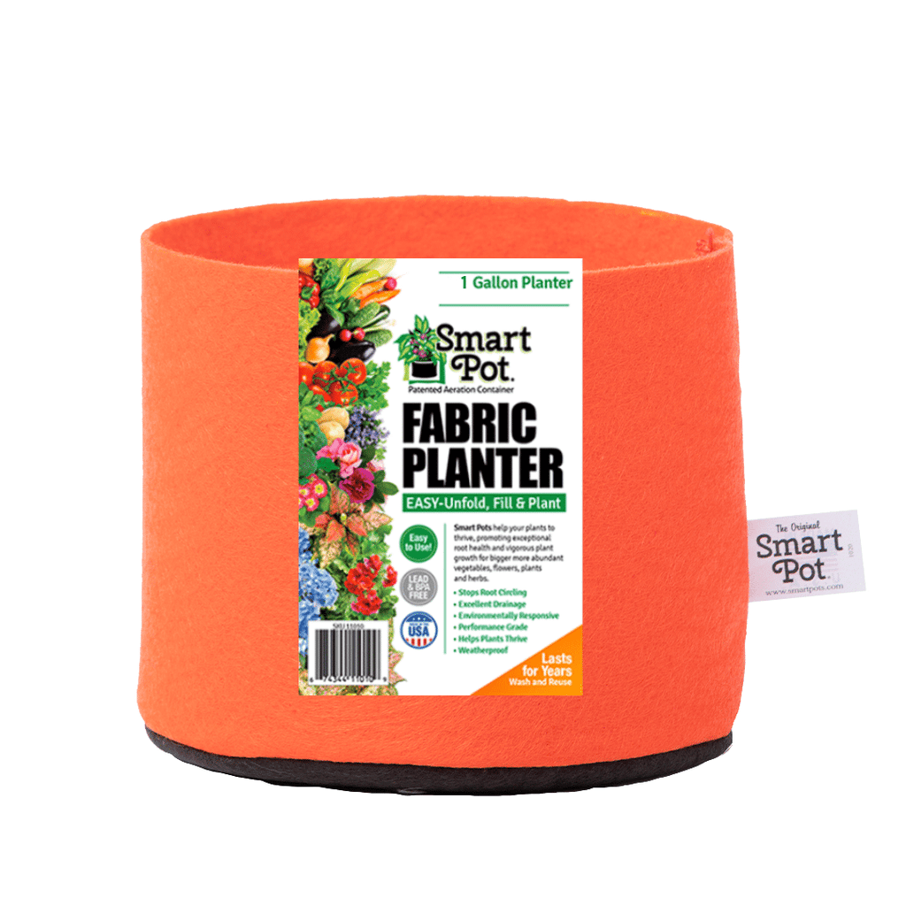 Smart Pot Fabric Planter 1 Gallon Mandarin Orange Without Handles | Heirloom Boulevard
