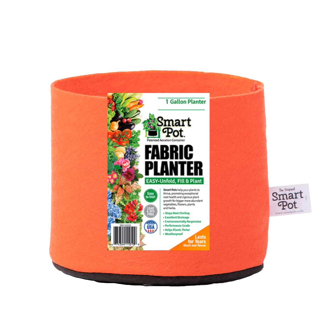 Smart Pot Fabric Planter 1 Gallon Mandarin Orange Without Handles | Heirloom Boulevard