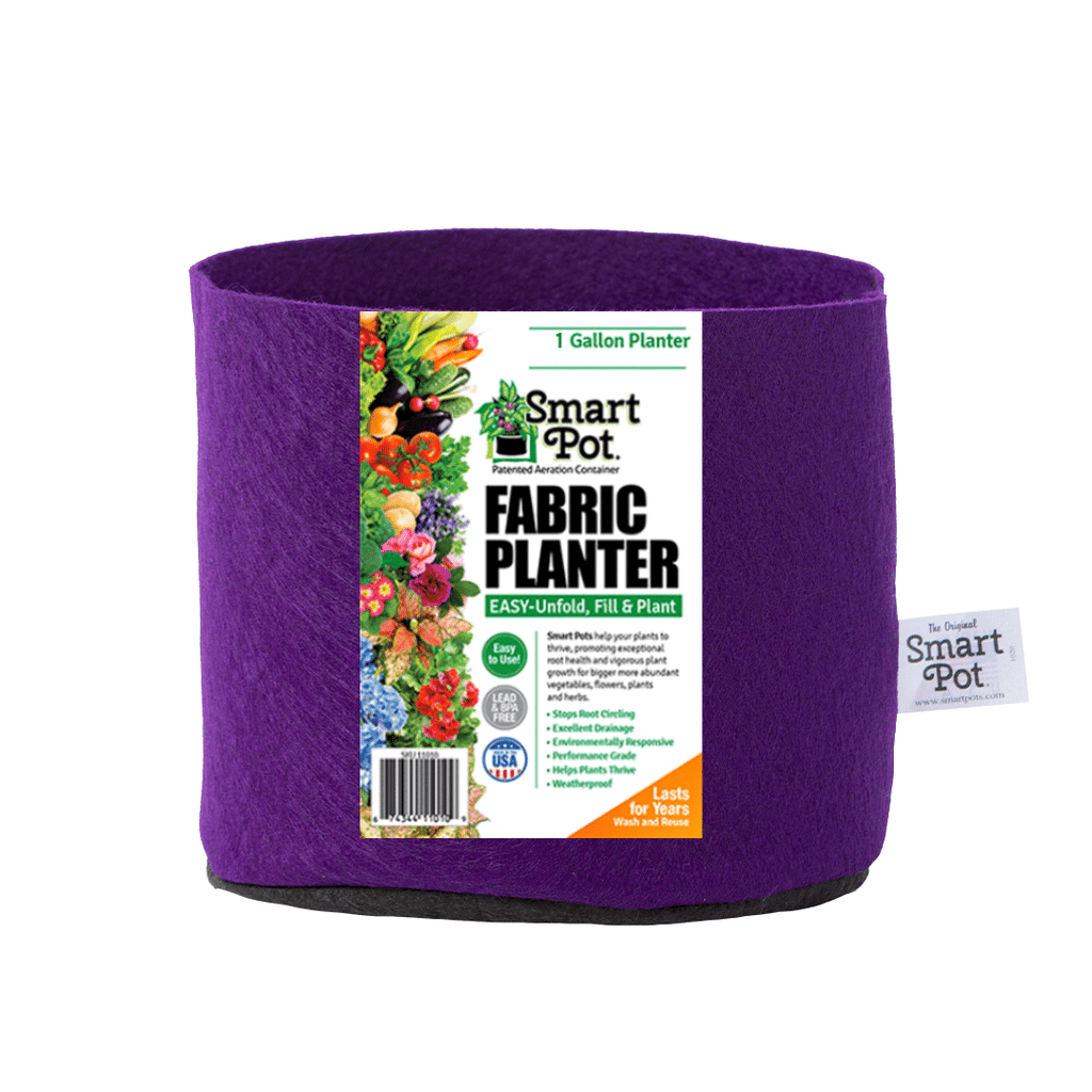 Smart Pot Fabric Planter 1 Gallon Bright Violet Without Handles | Heirloom Boulevard