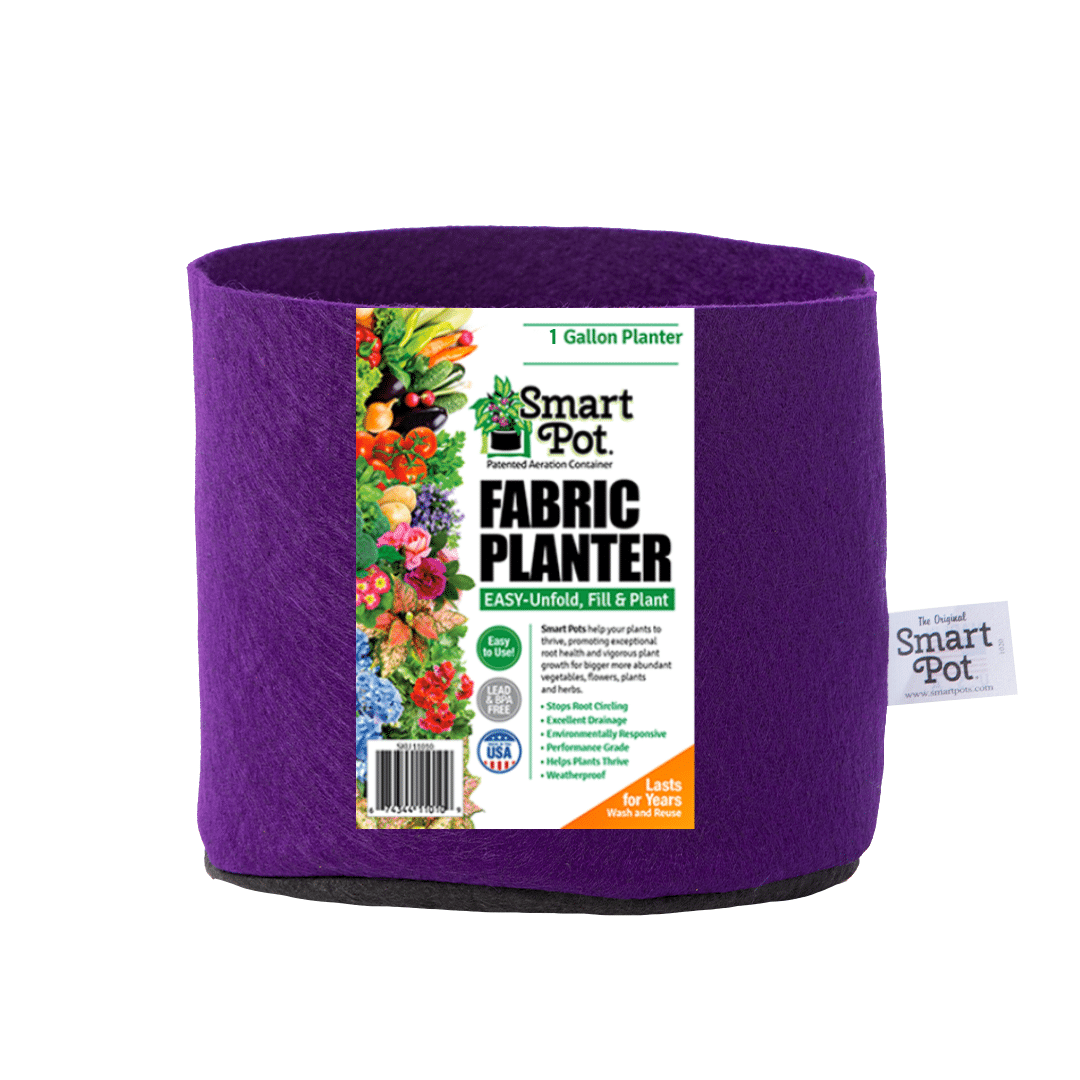 Smart Pot Fabric Planter 1 Gallon Bright Violet Without Handles | Heirloom Boulevard