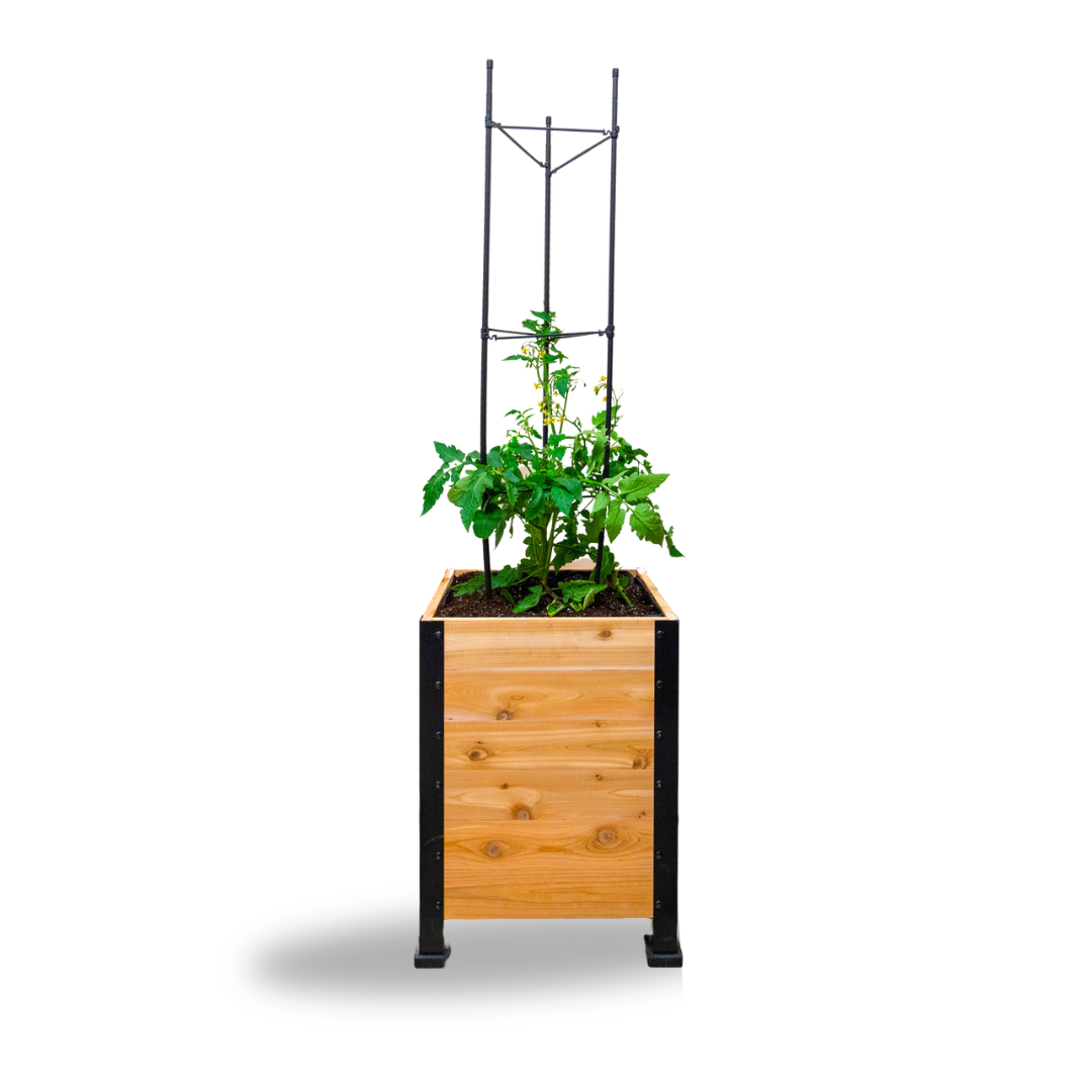 Cedar Planters Vegetable Cage | Heirloom Boulevard