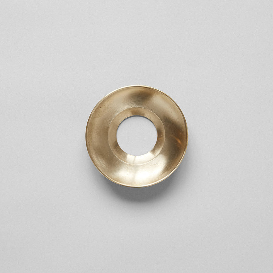 Bloomist Brass Frogs Bulb Forcing + Propagation | Heirloom Boulevard