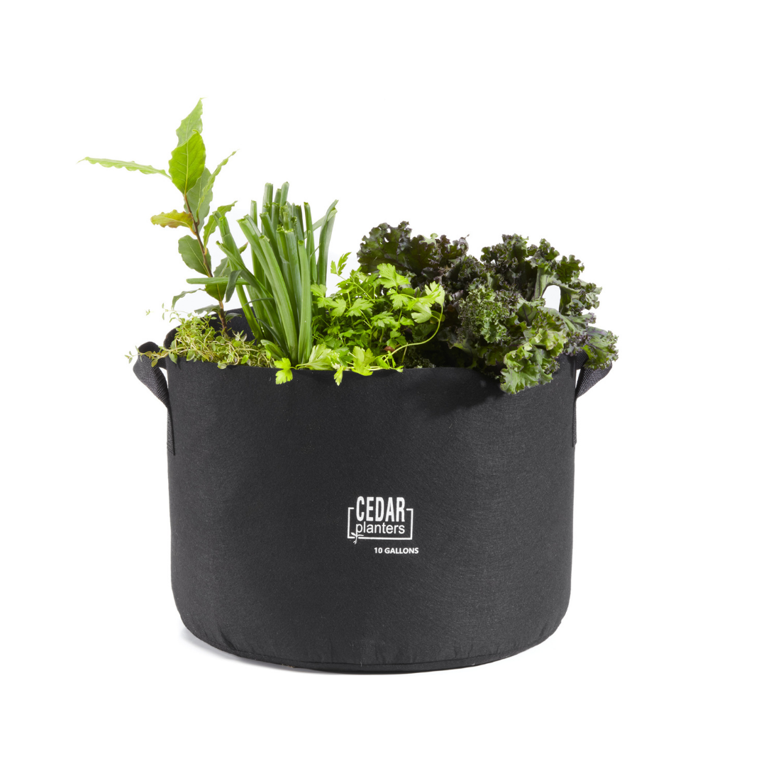 Cedar Planters Grow Bag (10 Gallon) | Heirloom Boulevard