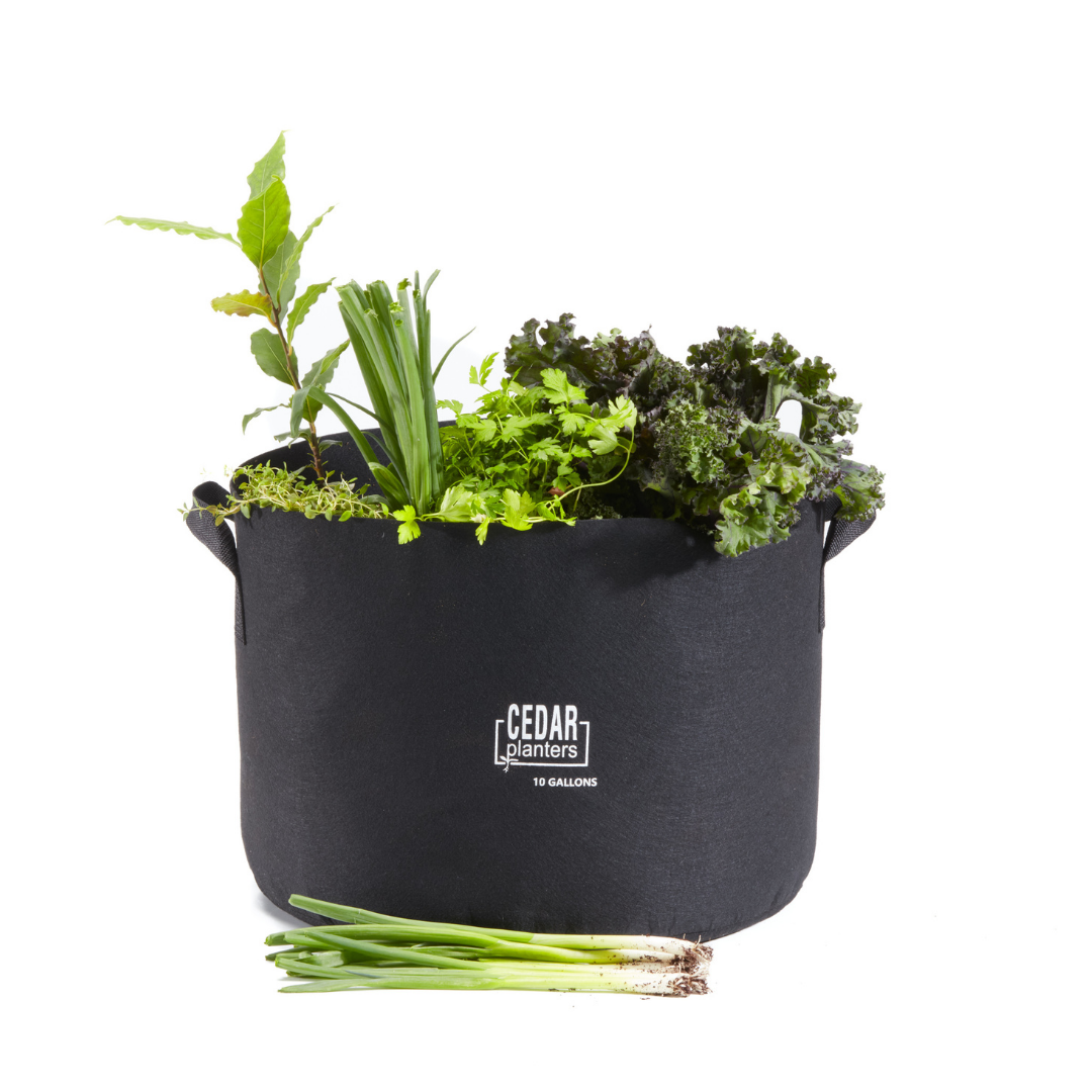 Cedar Planters Grow Bag (10 Gallon) | Heirloom Boulevard