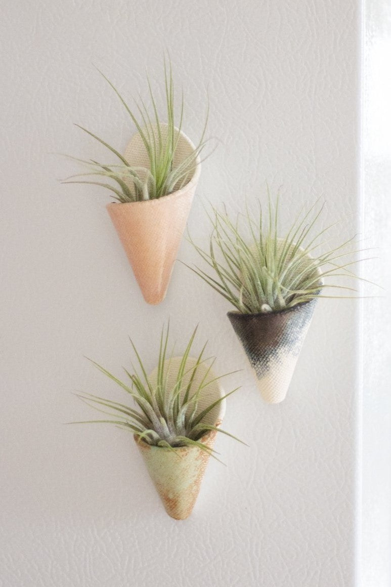 Carter + Rose Wall Planter, Magnet Collection Carter + Rose | Heirloom Boulevard