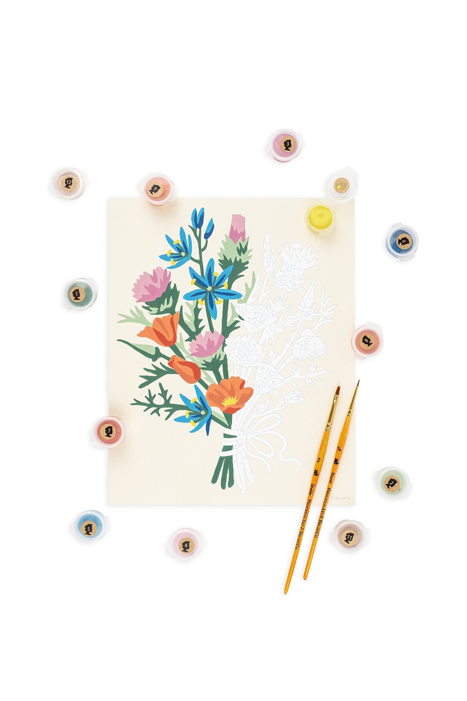 Elle Crée California Wildflowers | 8x10 paint-by-number kit | Heirloom Boulevard