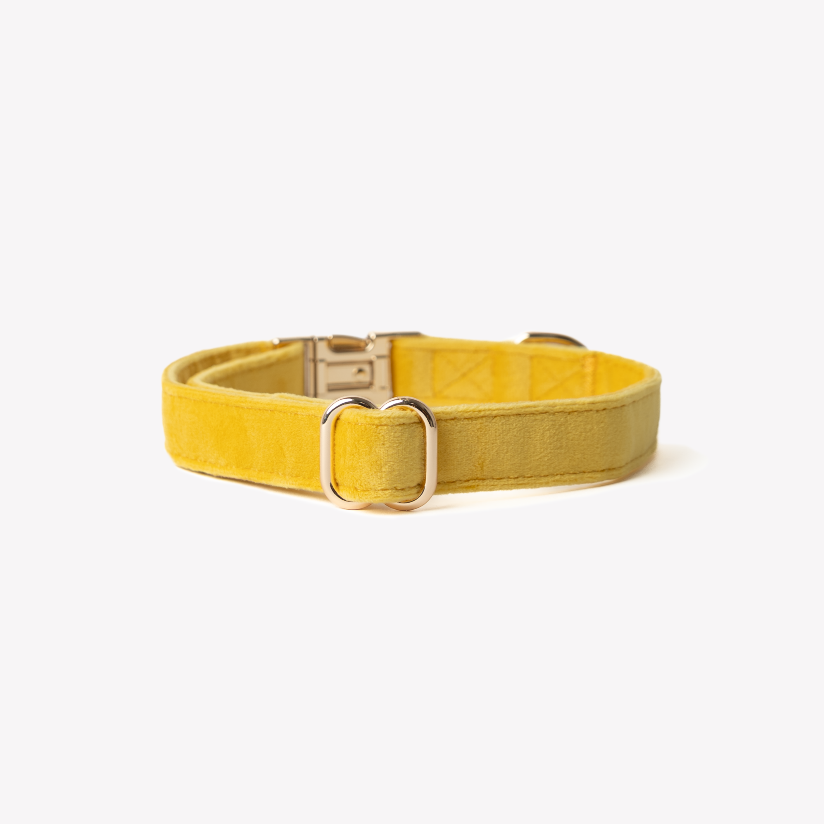 'Yellow' - Velvet Dog Collar FURLOU | Heirloom Boulevard