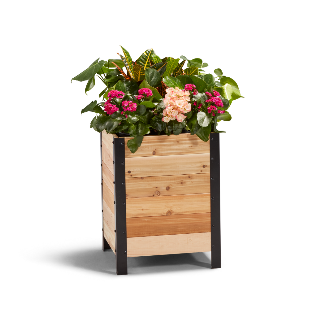 Cedar Planters 18″ x 18″ Planter Box - 24" TALL | Heirloom Boulevard
