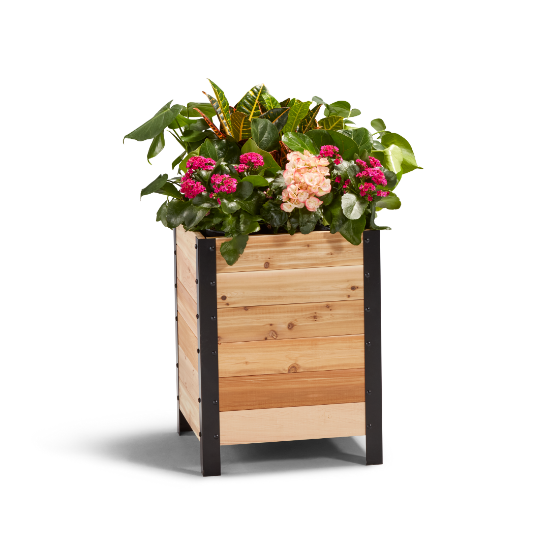 Cedar Planters 18″ x 18″ Planter Box - 24" TALL | Heirloom Boulevard