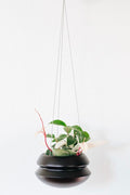 Carter + Rose Halo Hanging Planter Matte Black Medium | Heirloom Boulevard