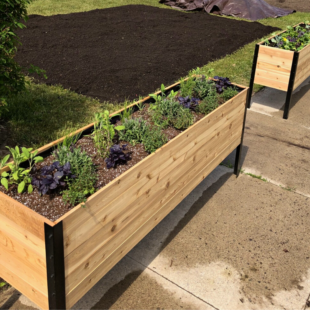 Cedar Planters 18" x 72" Raised Garden Bed - 30" TALL | Heirloom Boulevard