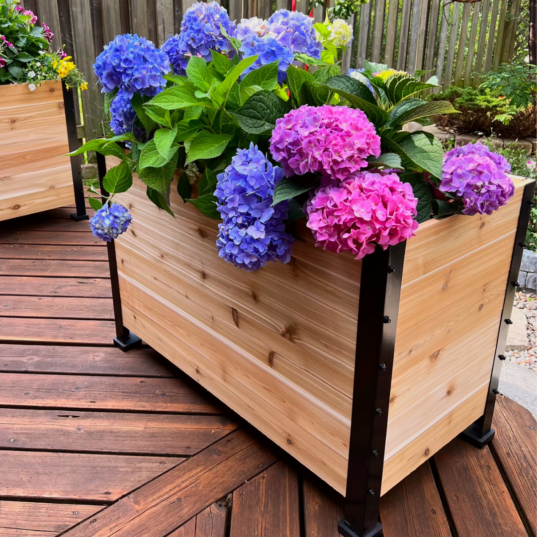 Cedar Planters 18" x 36" Planter Box - 24" TALL | Heirloom Boulevard