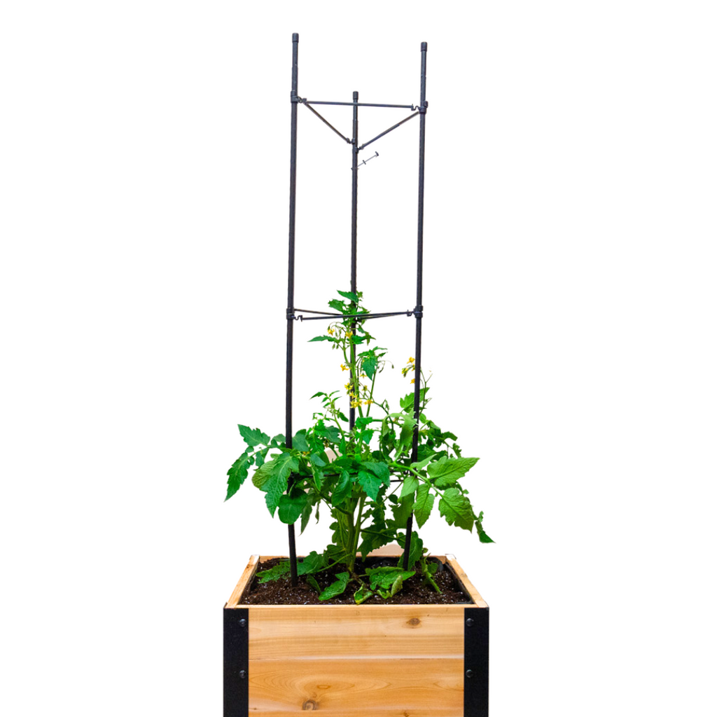 Cedar Planters Vegetable Cage | Heirloom Boulevard