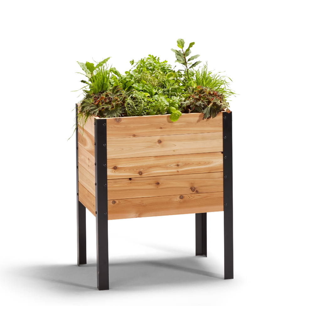 Cedar Planters 18″ x 24″ Raised Garden Bed - 30" TALL | Heirloom Boulevard