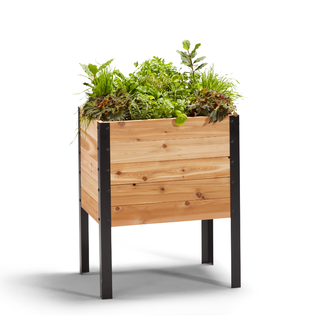 Cedar Planters 18″ x 24″ Raised Garden Bed - 30" TALL | Heirloom Boulevard