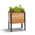 Cedar Planters 18″ x 24″ Raised Garden Bed - 30" TALL | Heirloom Boulevard