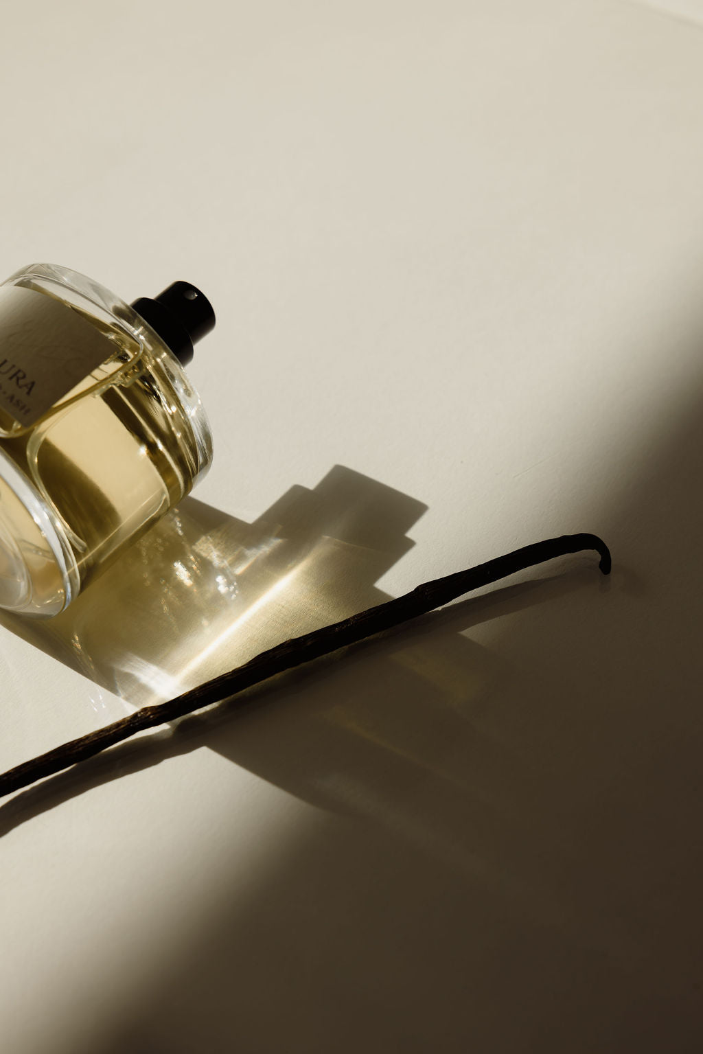 Orchid + Ash AURA Perfume