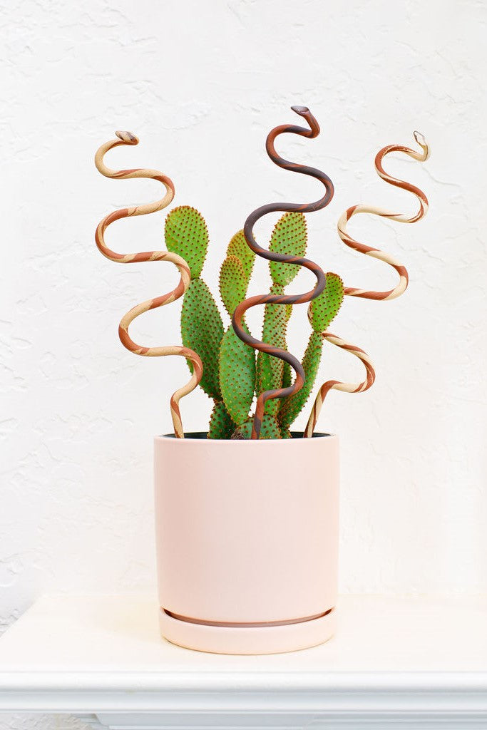 Carter + Rose, Plant Snake Stake Carter + Rose | Heirloom Boulevard