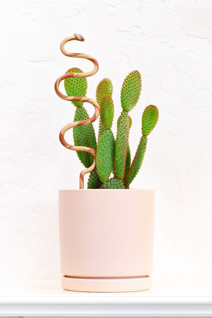 Carter + Rose, Plant Snake Stake Carter + Rose | Heirloom Boulevard